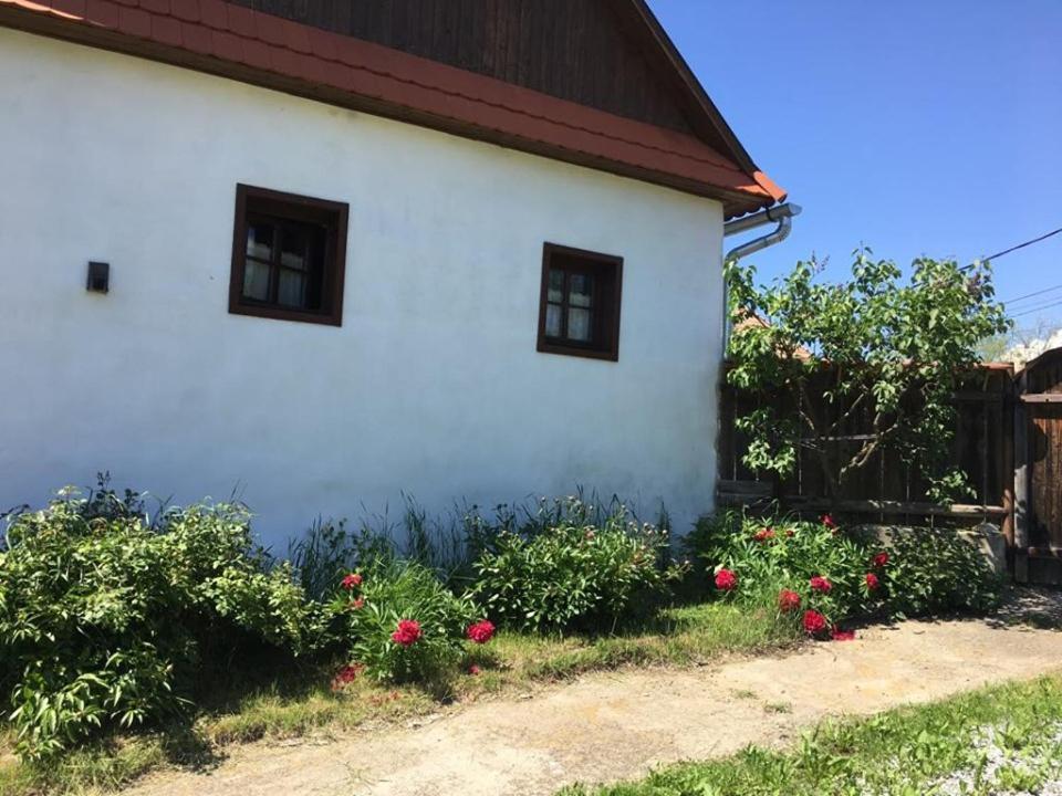 Miklos Lak Ocna de Sus Exterior photo